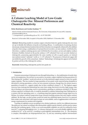 A Column Leaching Model of Low-Grade Chalcopyrite Ore: Mineral Preferences and Chemical Reactivity