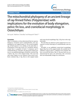 The Mitochondrial Phylogeny of an Ancient Lineage Of