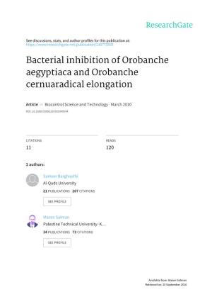 Bacterial Inhibition of Orobanche Aegyptiaca and Orobanche Cernuaradical Elongation