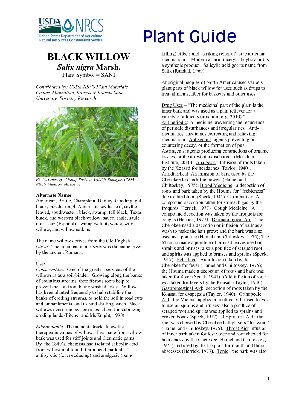 Black Willow Plant Guide