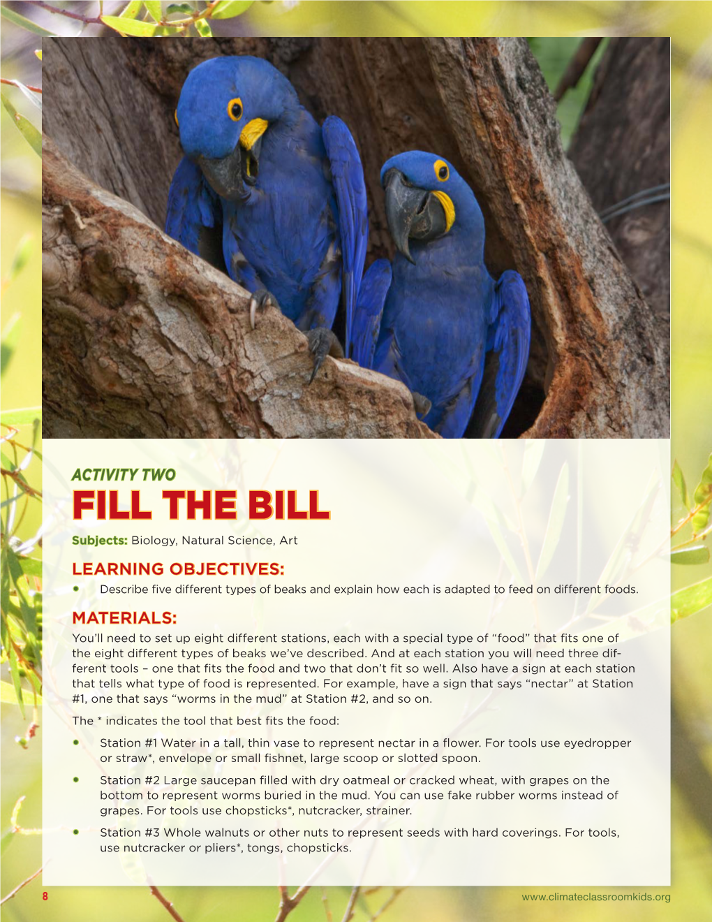 Parrots & Tropical Birds Guide 7-31.Indd