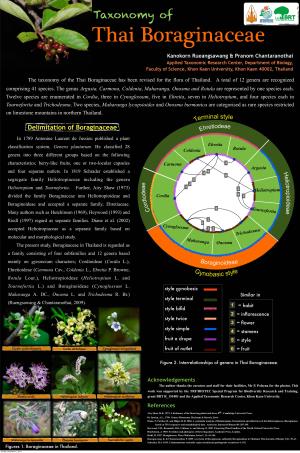 INTRODUCTION Delimitation of Boraginaceae