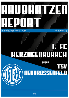 Landesliga Nord – Ost 6