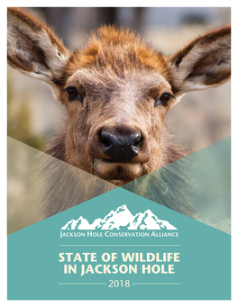 State of Wildlife in the Jackson Hole Area