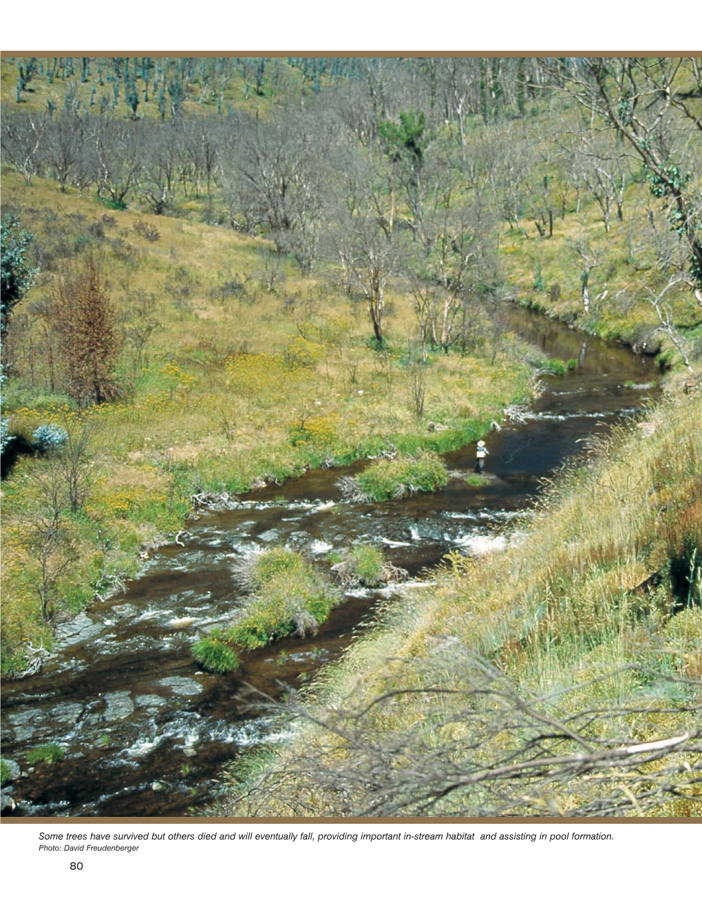 Angling After the 2003 Fires