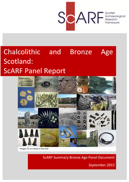 Chalcolithic and Bronze Age Scotland: Scarf Panel Report