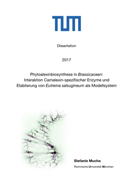 Interaktion Camalexin-Spezifischer Enzyme Und Etablierung Von Eutrema Salsugineum Als Modellsystem