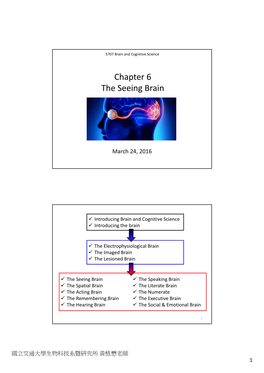 Chapter 6 the Seeing Brain
