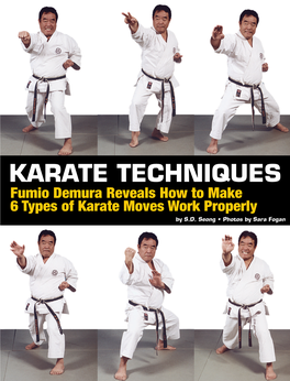 KARATE TECHNIQUES Fumio Demura Reveals How to Make 6 Types of Karate Moves Work Properly by S.D