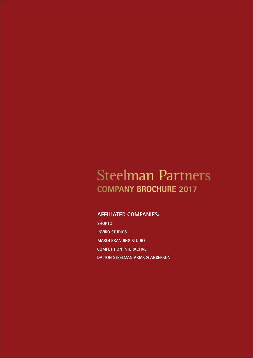 Steelman Partners Company Profile 2017
