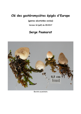 Cles-Gasteromycetes-Serge-Poumarat