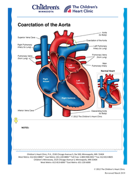 Normal Heart NOTES