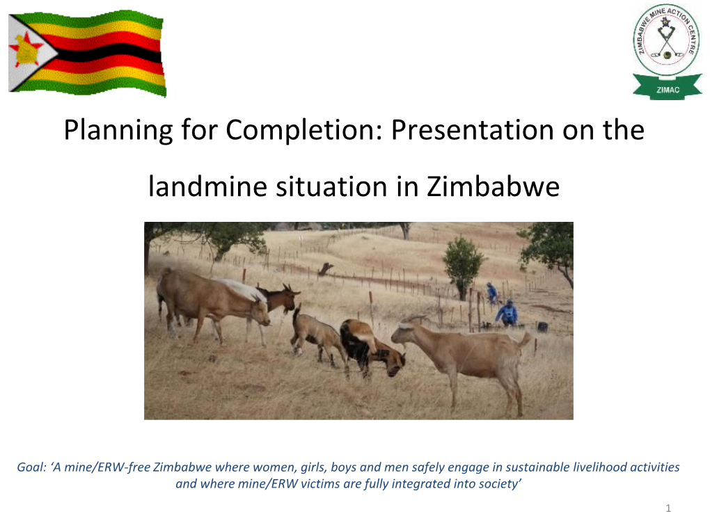 Presentation on the Landmine Situation in Zimbabwe