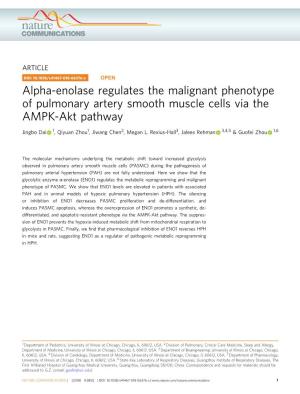 Alpha-Enolase Regulates the Malignant Phenotype of Pulmonary Artery Smooth Muscle Cells Via the AMPK-Akt Pathway