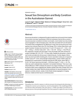 Sexual Size Dimorphism and Body Condition in the Australasian Gannet