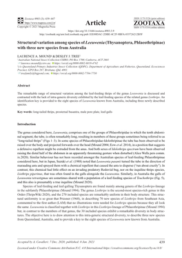 Thysanoptera, Phlaeothripinae) with Three New Species from Australia