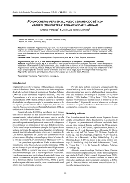 POGONOCHERUS PEPA SP. N., NUEVO CERAMBÍCIDO BÉTICO- MAGREBÍ (COLEOPTERA: CERAMBYCIDAE: LAMIINAE) Antonio Verdugo1 & José