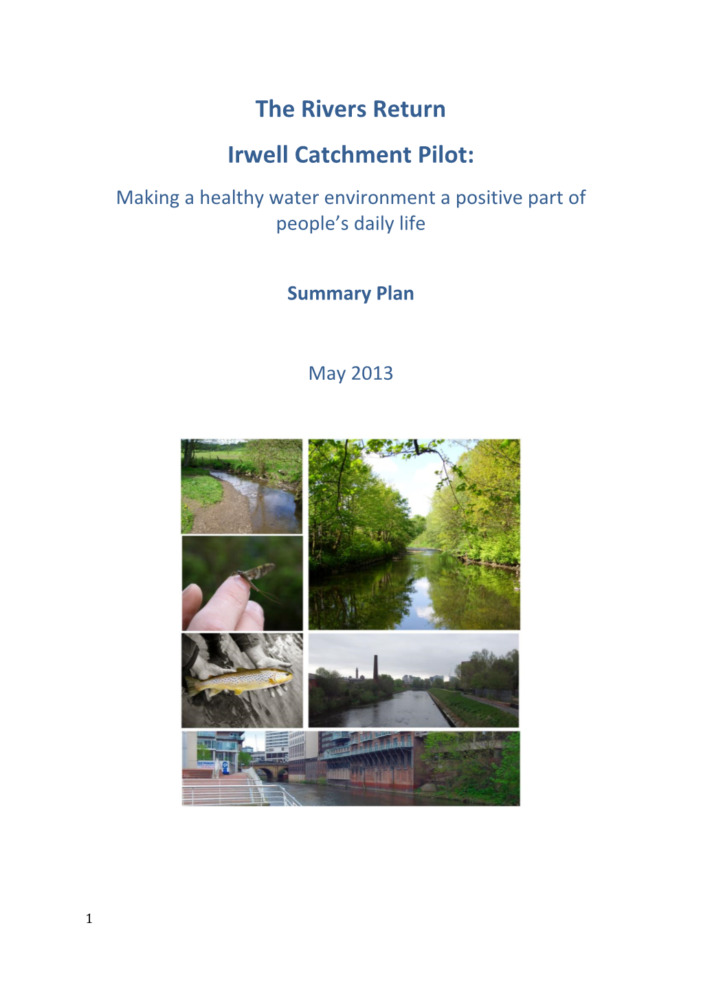 The Rivers Return Irwell Catchment Pilot: Making a Healthy Water Environment a Positive Part of People’S Daily Life