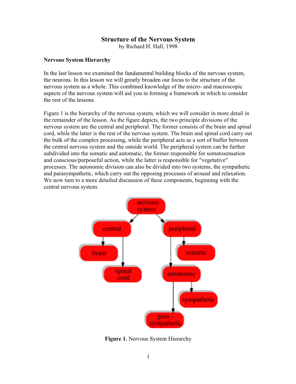 Structure of the Nervous System by Richard H