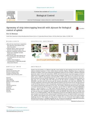 Agronomy of Strip Intercropping Broccoli with Alyssum for Biological Control of Aphids