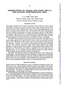 Observations on Snakes and Snake Bite in the Eastern Mediterranean Area
