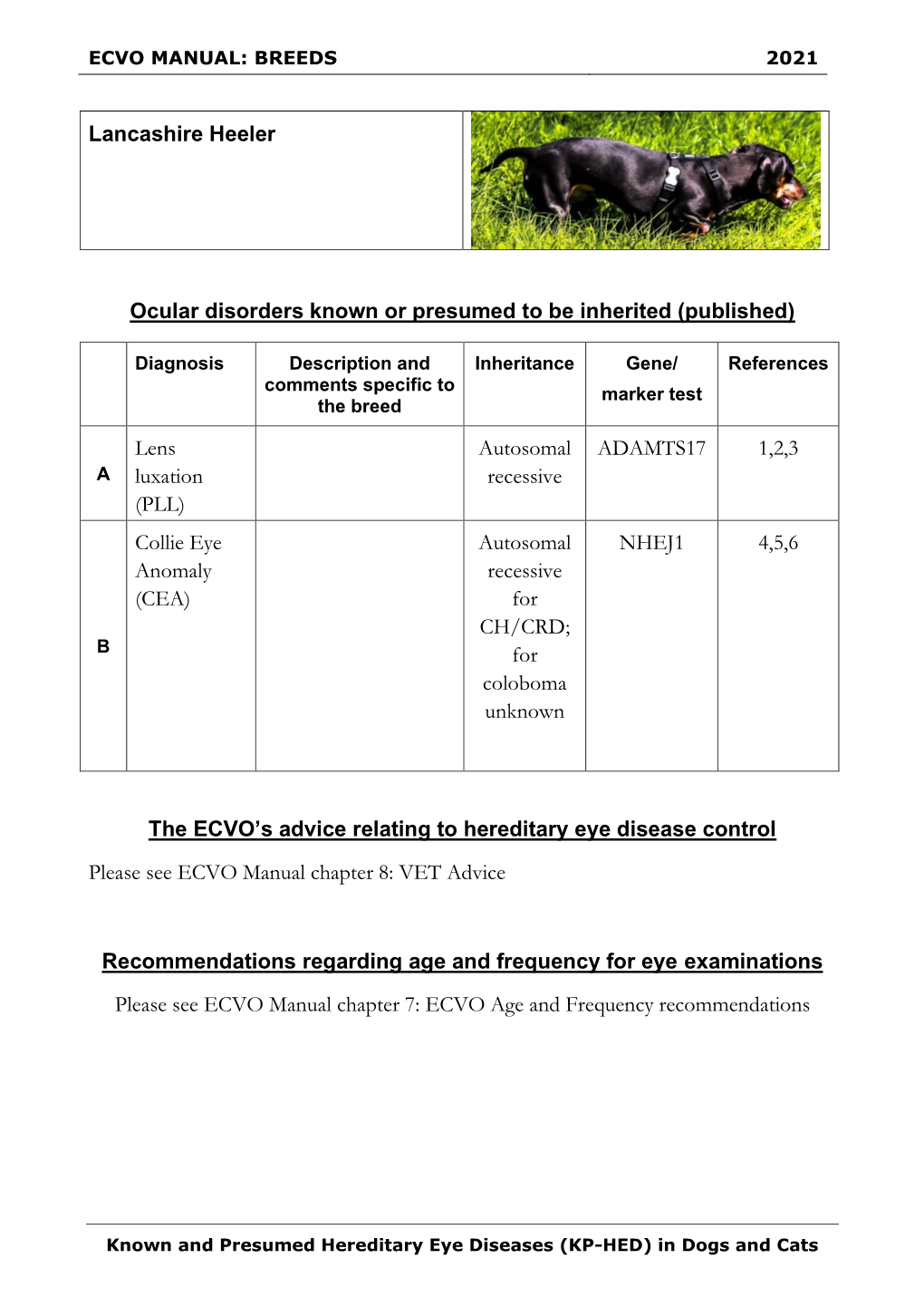 Ecvo Manual: Breeds 2021