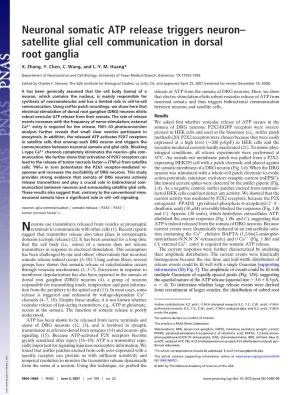 Satellite Glial Cell Communication in Dorsal Root Ganglia