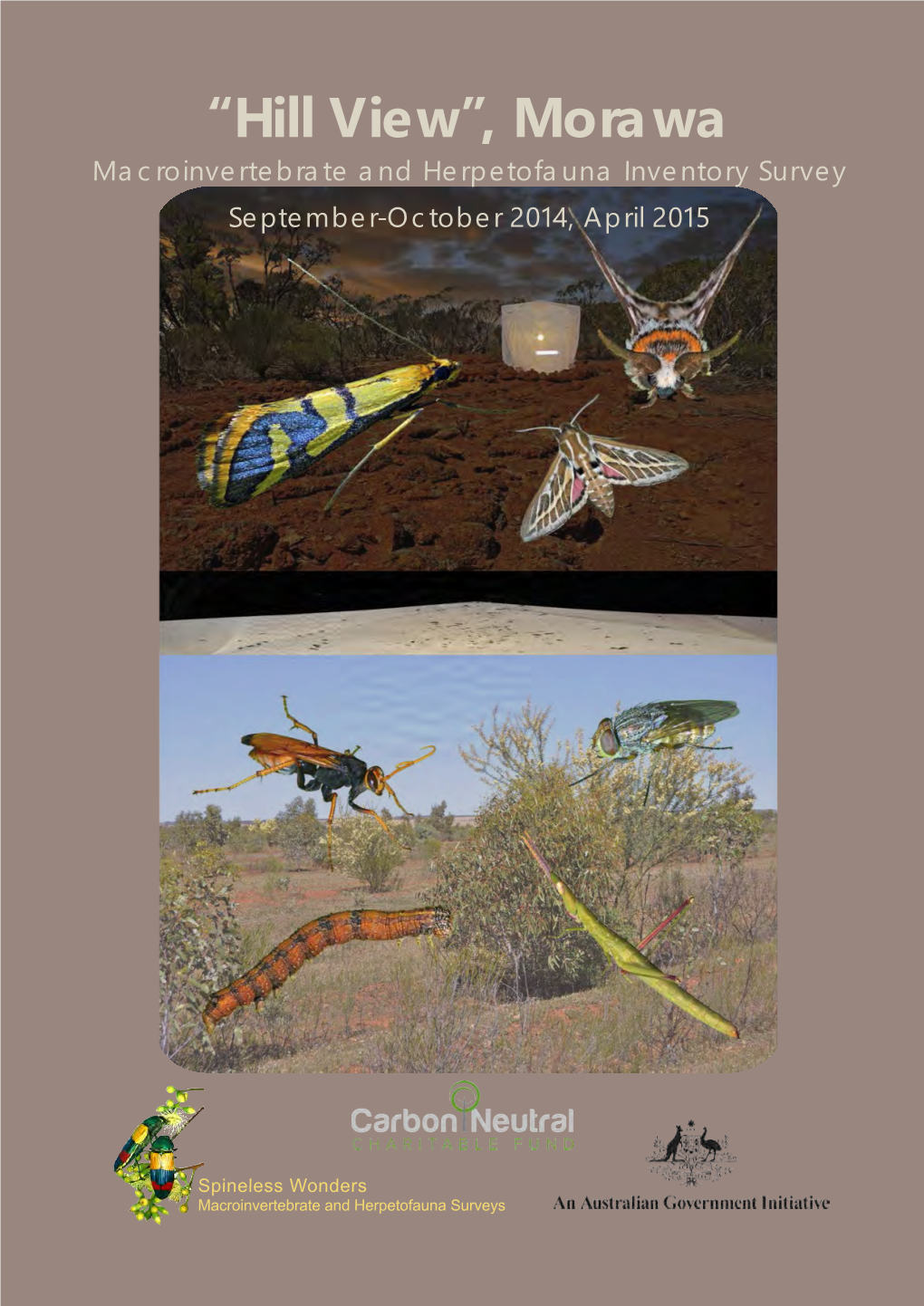 “Hill View”, Morawa Macroinvertebrate and Herpetofauna Inventory Survey September-October 2014, April 2015