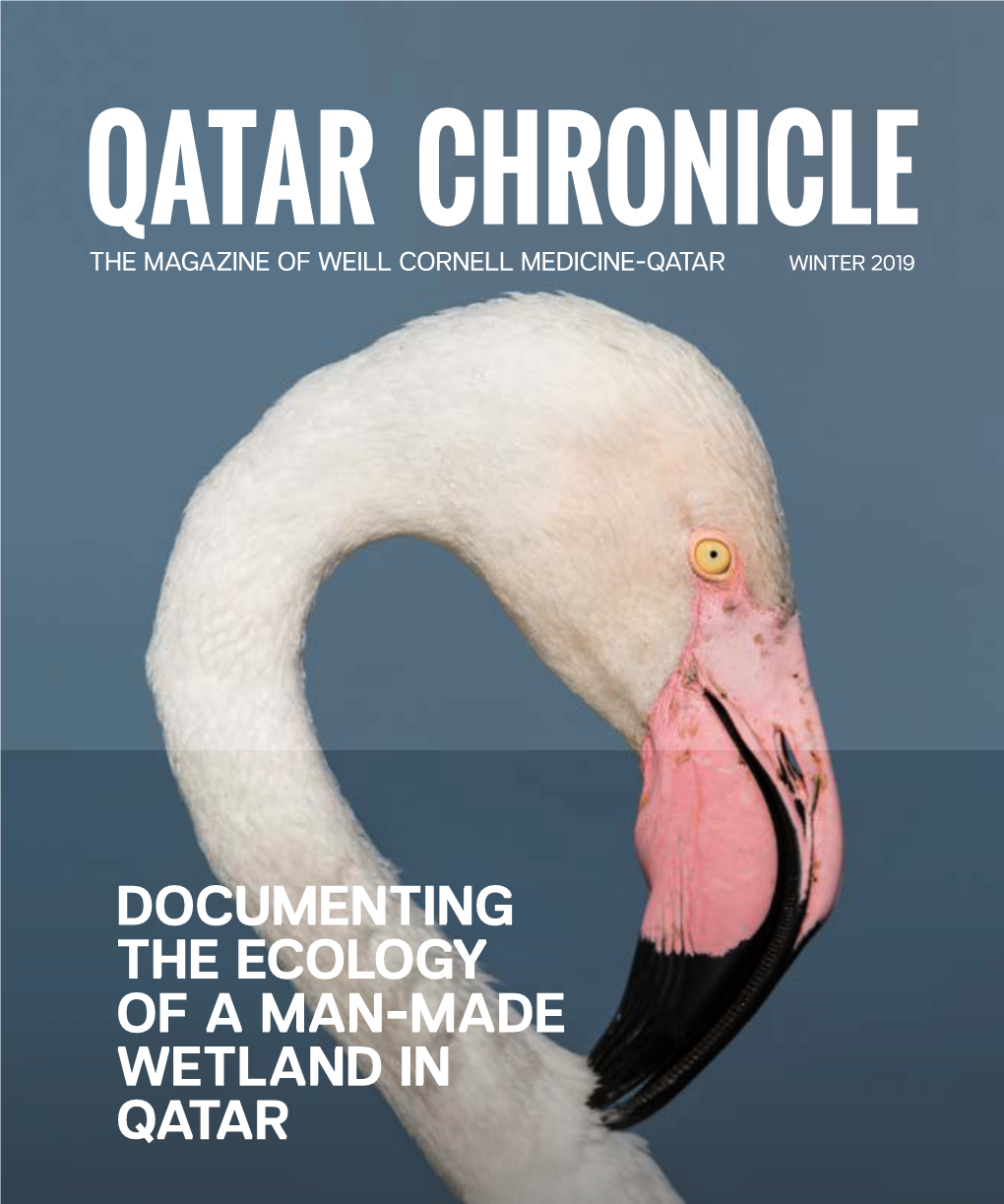 Documenting the Ecology of a Man-Made Wetland in Qatar