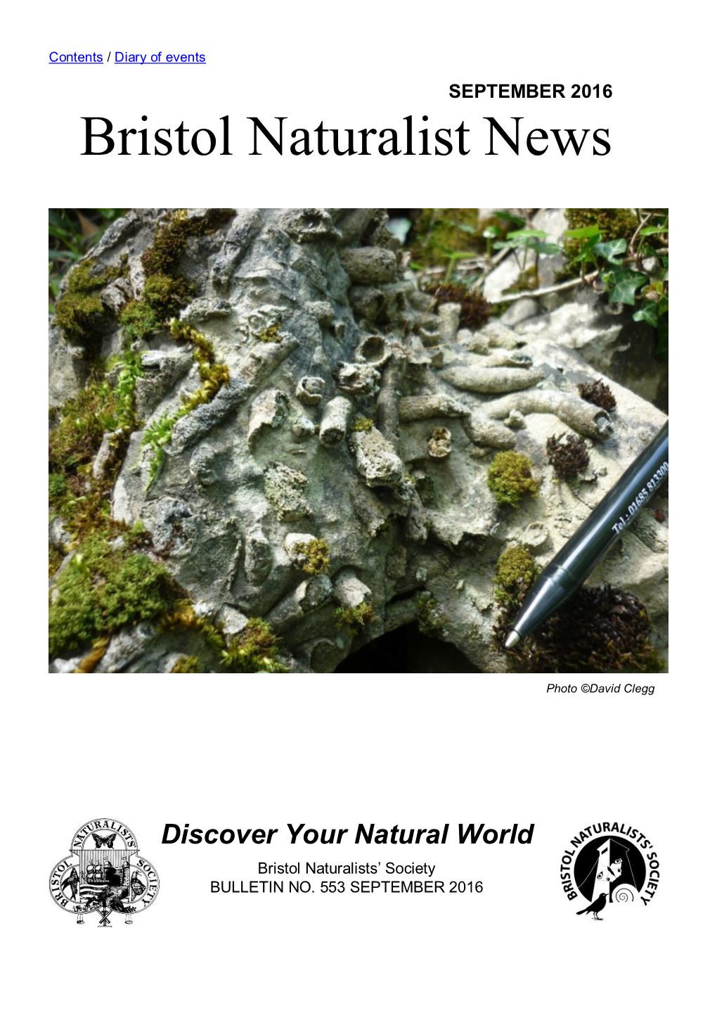 Bristol Naturalist News