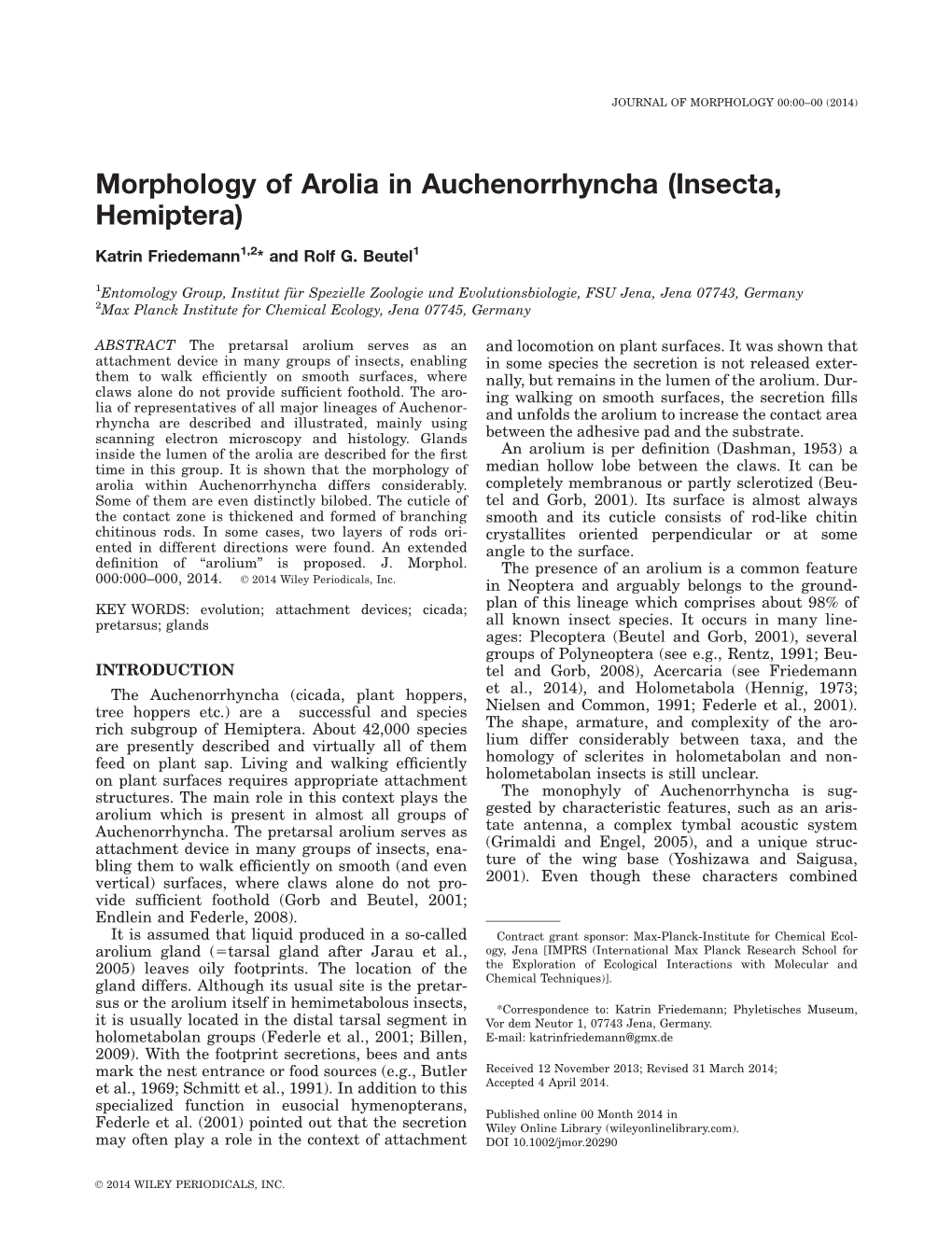 Morphology of Arolia in Auchenorrhyncha (Insecta, Hemiptera)