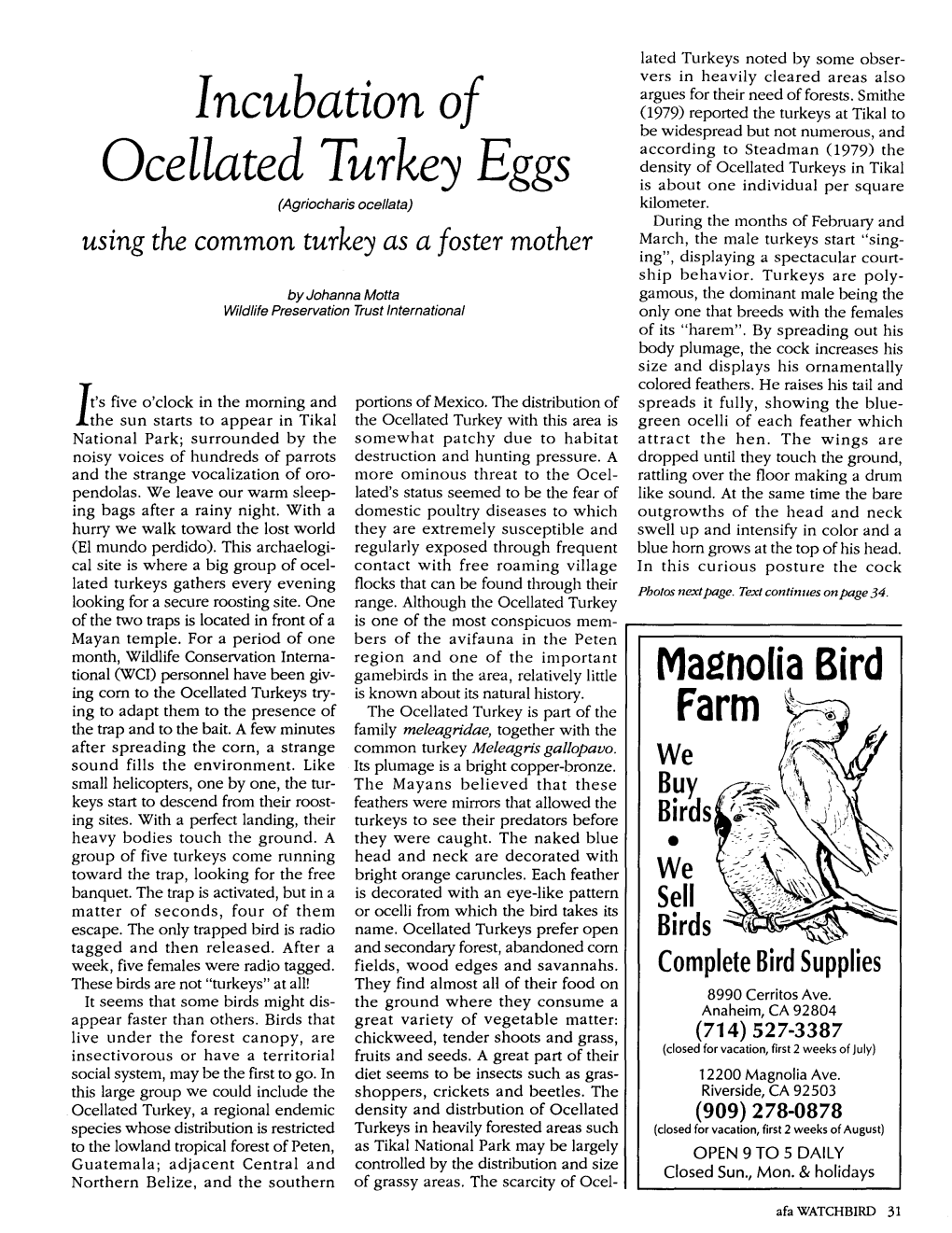 Incubation of Ocellated Turkey Eggs