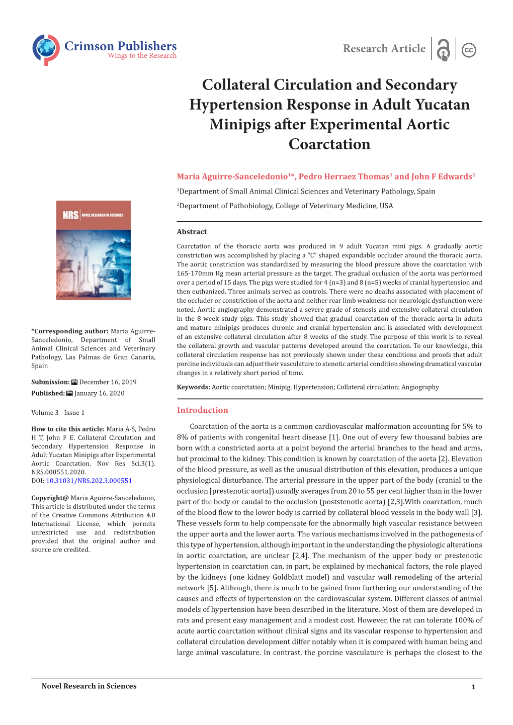 Collateral Circulation and Secondary Hypertension Response in Adult Yucatan Minipigs After Experimental Aortic Coarctation