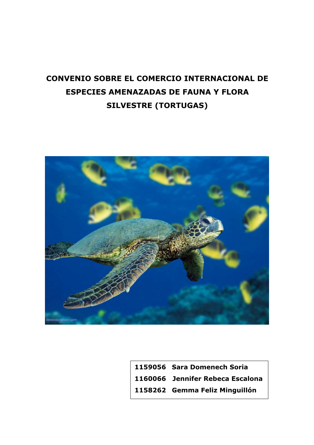 Convenio Sobre El Comercio Internacional De Especies Amenazadas De Fauna Y Flora Silvestre (Tortugas)