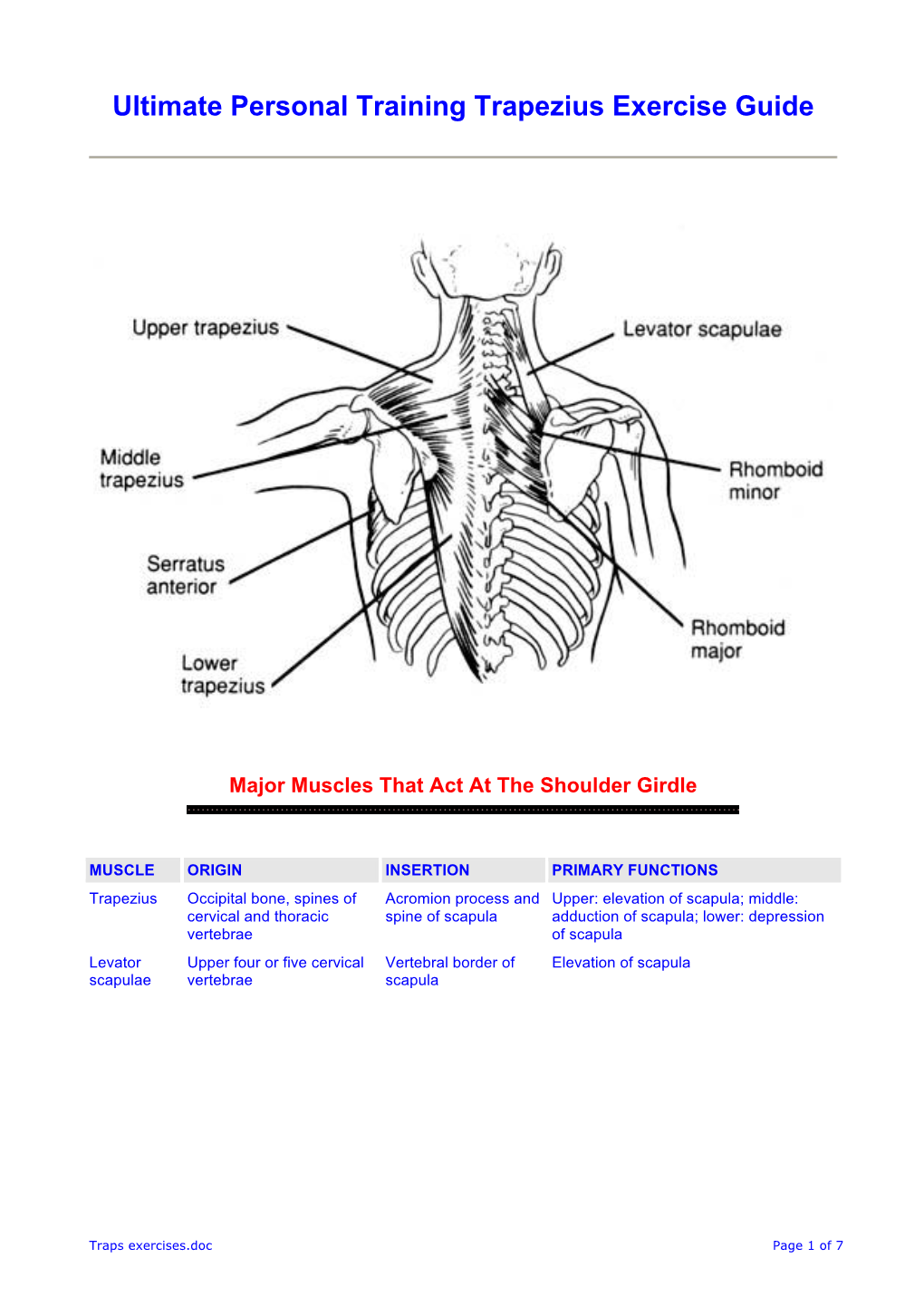 Ultimate Personal Training Trapezius Exercise Guide