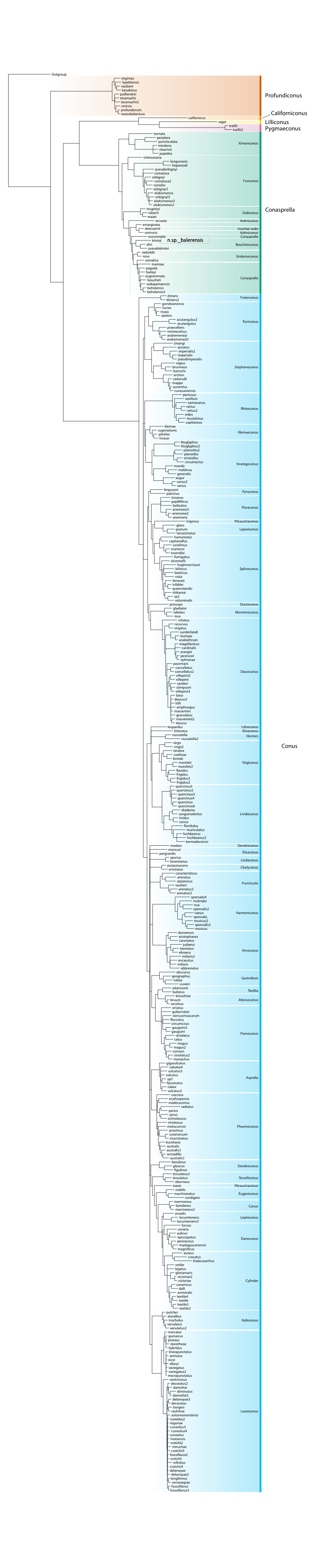 R Graphics Output