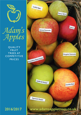 Apples Adam's