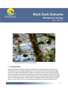 Black Duck Outcome Management Strategy 2015–2025, V.2