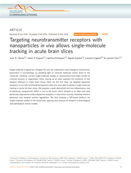 Targeting Neurotransmitter Receptors with Nanoparticles in Vivo Allows Single-Molecule Tracking in Acute Brain Slices