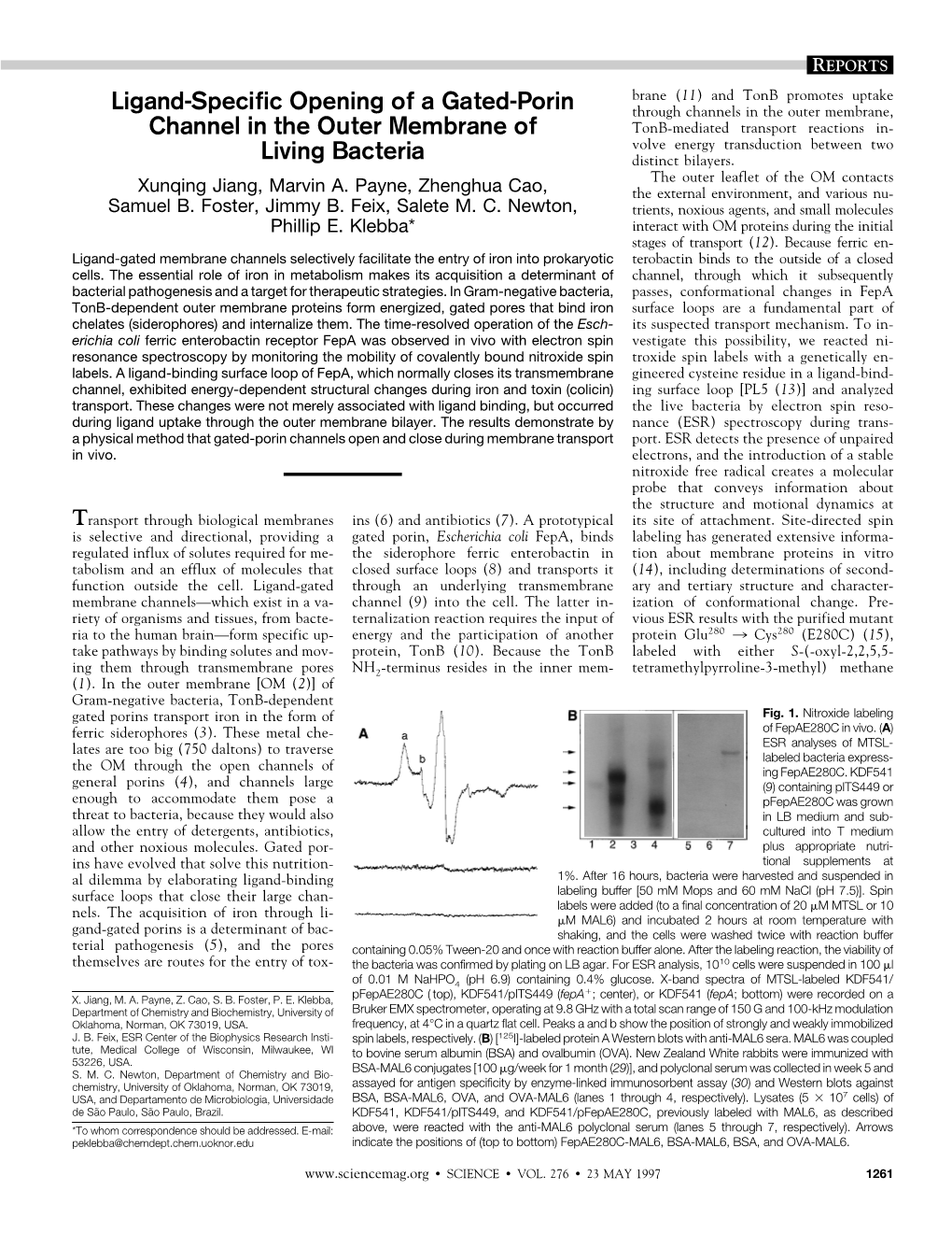 Ligand-Specific Opening of a Gated