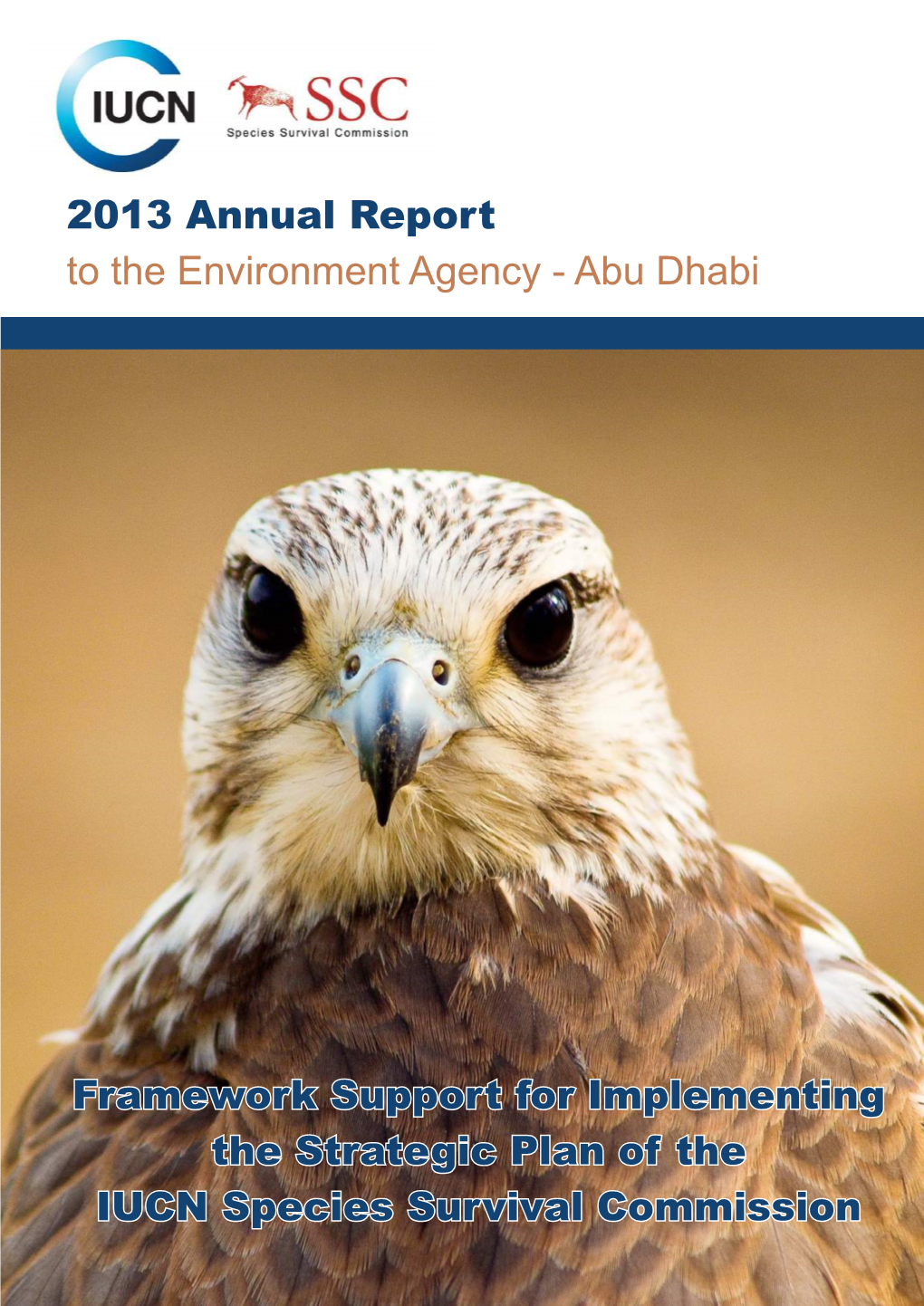 2013 Annual Report to the Environment Agency - Abu Dhabi