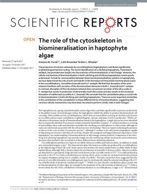 The Role of the Cytoskeleton in Biomineralisation in Haptophyte Algae Received: 27 April 2017 Grażyna M