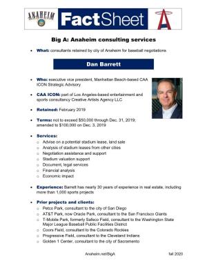 Anaheim Consulting Services Dan Barrett