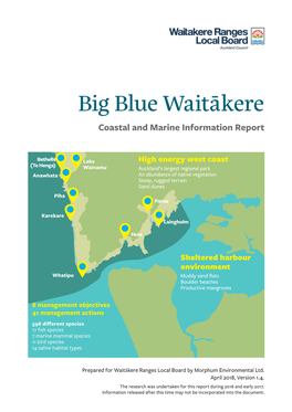 Big Blue Waitākere Report