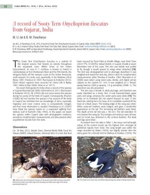 A Record of Sooty Tern Onychoprion Fuscatus from Gujarat, India M