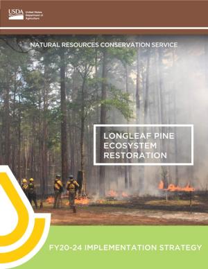 Longleaf Pine Ecosystem Restoration