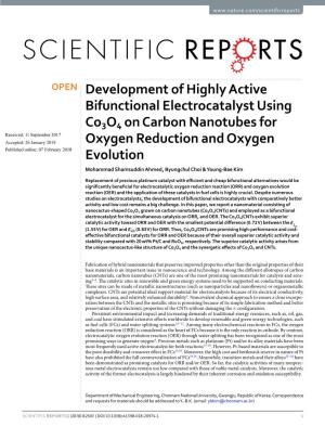 Development of Highly Active Bifunctional Electrocatalyst Using