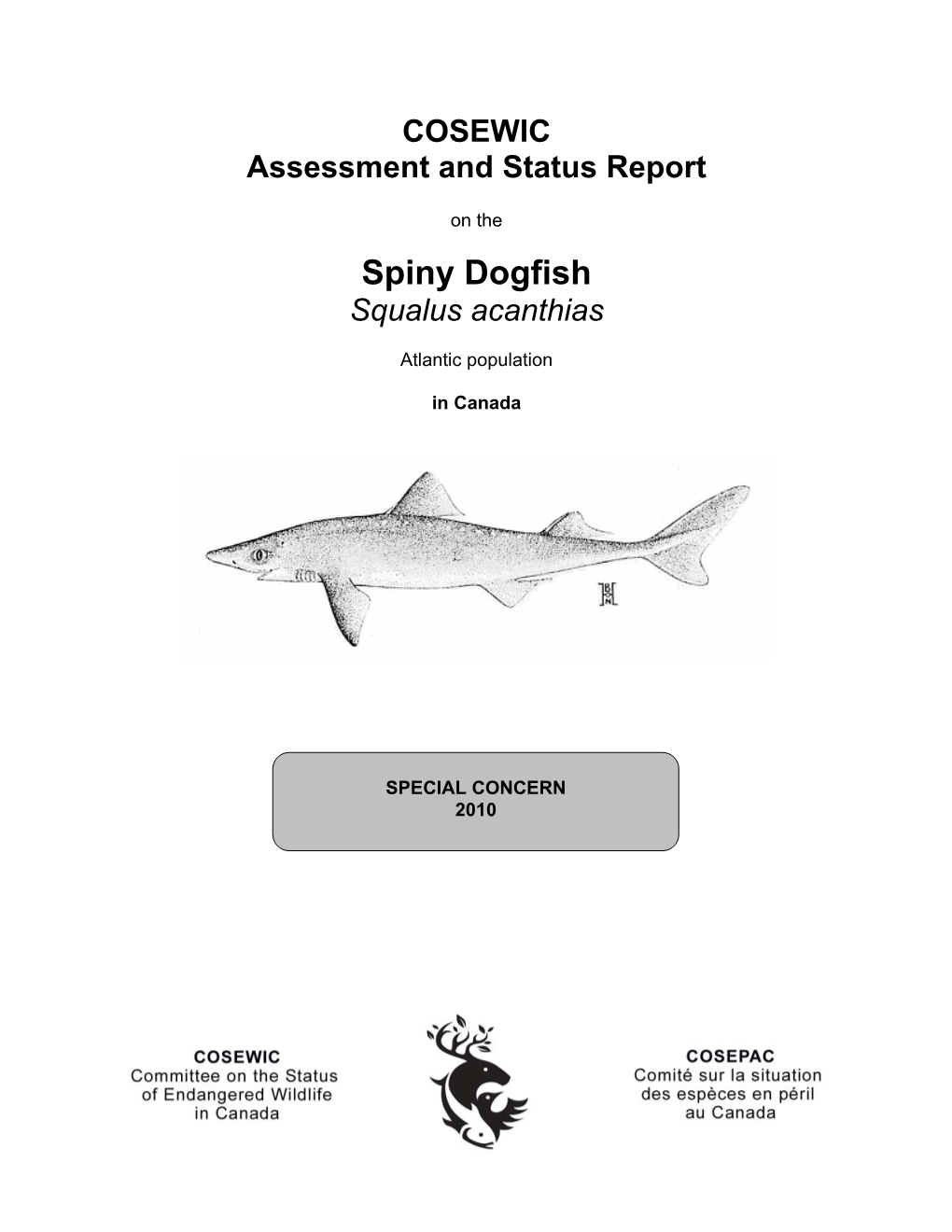 Spiny Dogfish (Squalus Acanthias) Is an Easily Identified Small Shark, with Spines in Front of Both Dorsal Fins