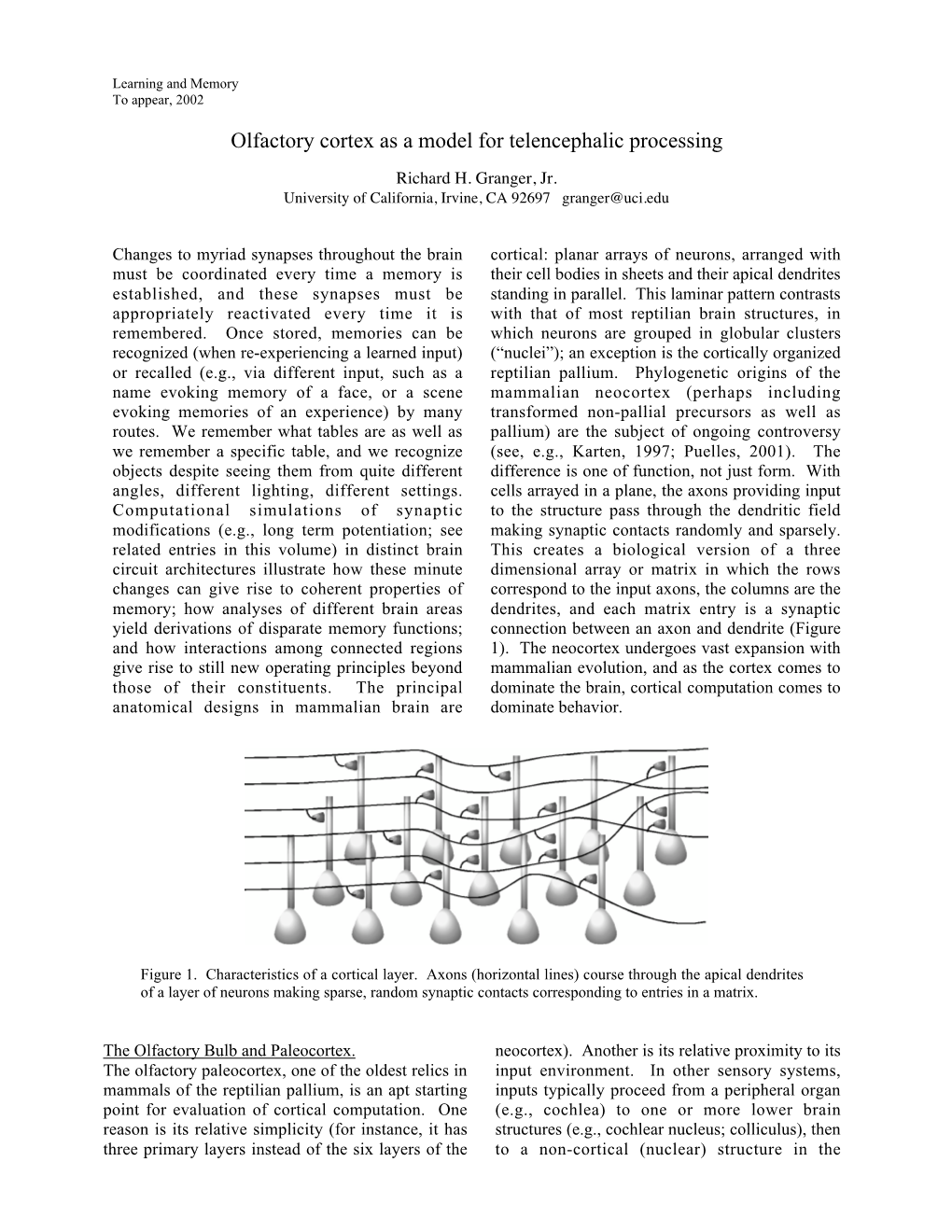 Olfactory Cortex As a Model for Telencephalic Processing