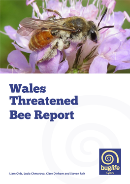 Wales Threatened Bee Report
